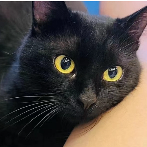 0o0td (0o0td.lens) Lens social identity (.lens handle) PFP