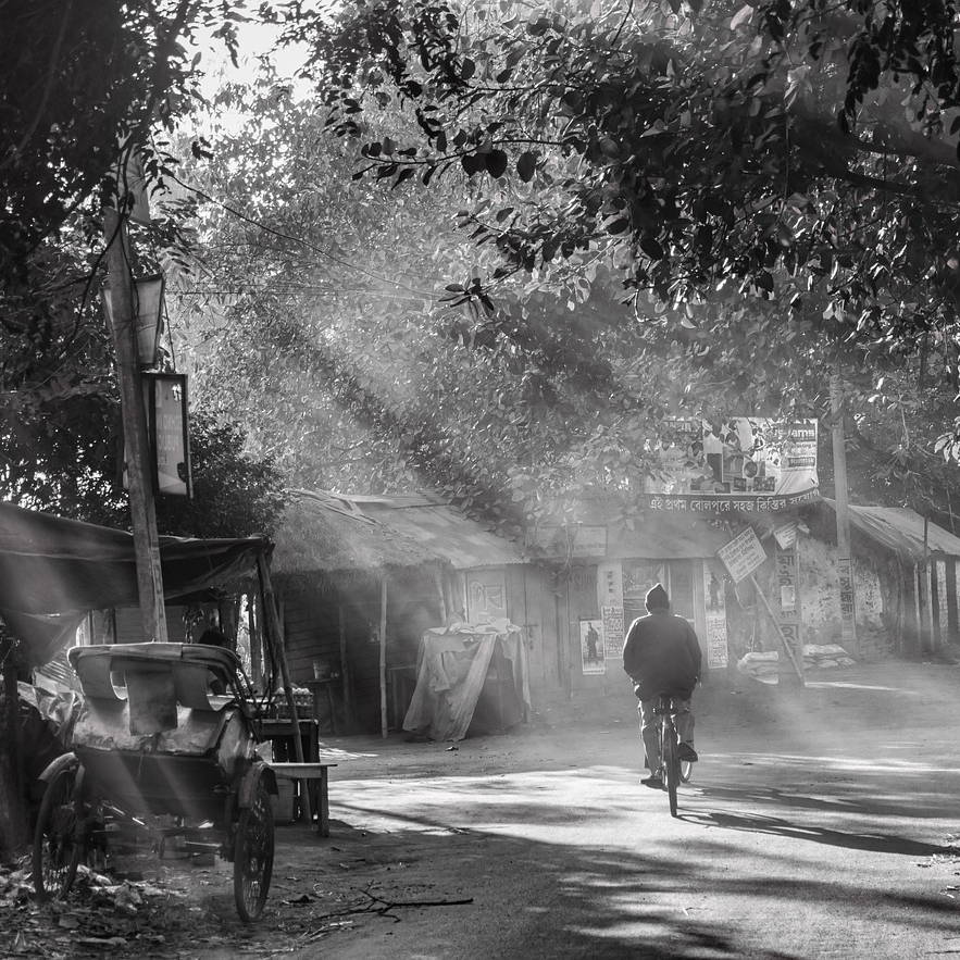 Starry (lastarry.lens) Lens social identity (.lens handle) PFP