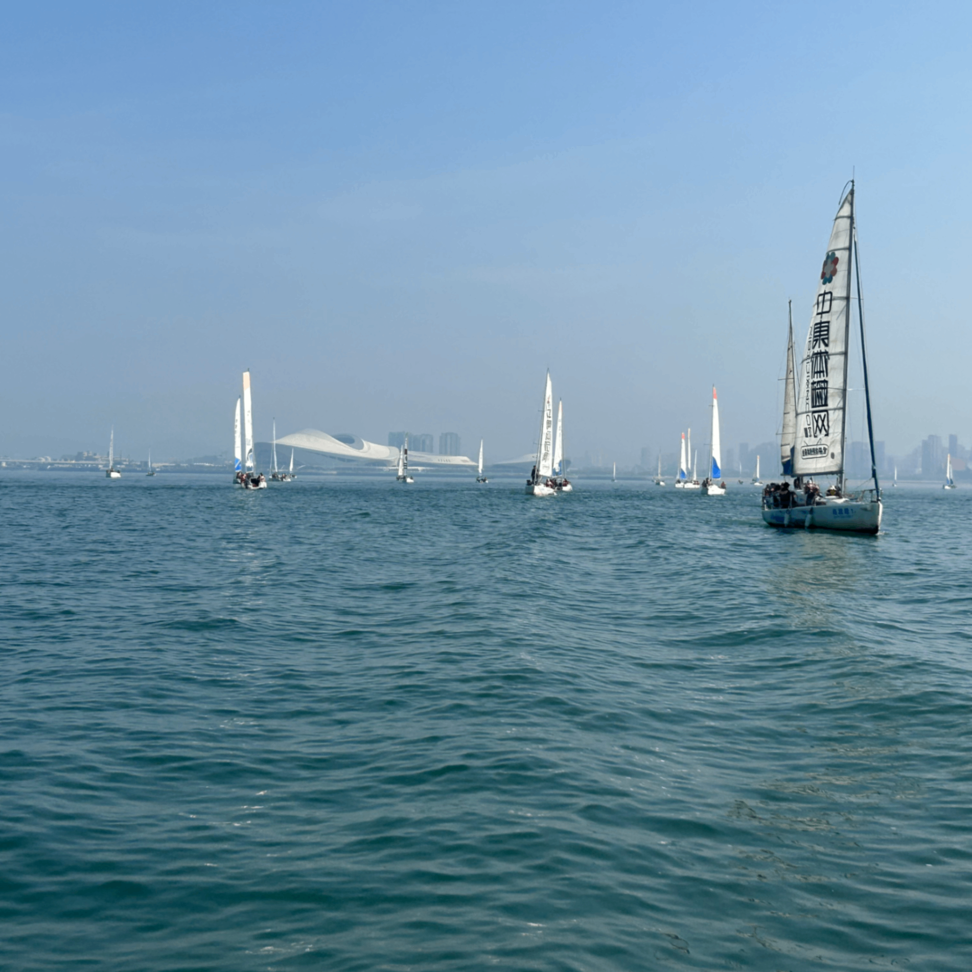 Z20 (zksync20.lens) Lens social identity (.lens handle) PFP