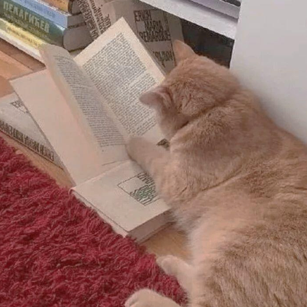 Giselle (rrieifvi.lens) Lens social identity (.lens handle) PFP