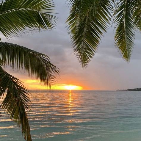 dfhiogddftog (63616.lens) Lens social identity (.lens handle) PFP