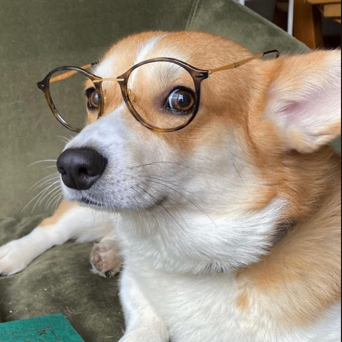 Umutt (sarukoo.lens) Lens social identity (.lens handle) PFP