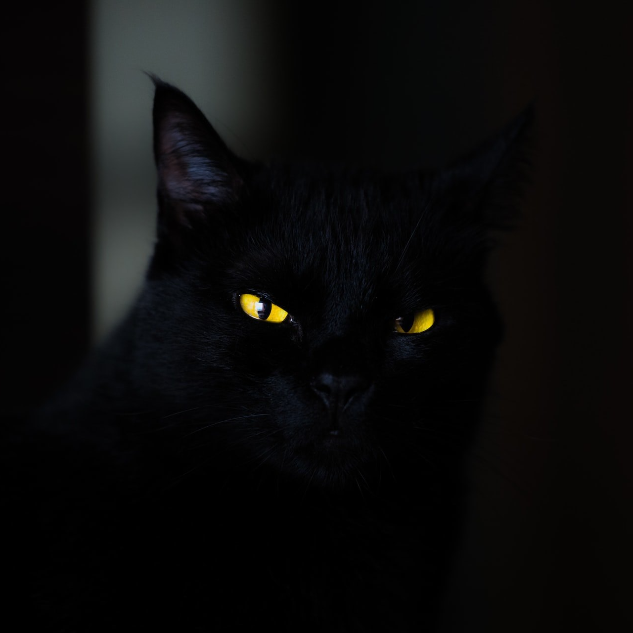 Artem (archii.lens) Lens social identity (.lens handle) PFP