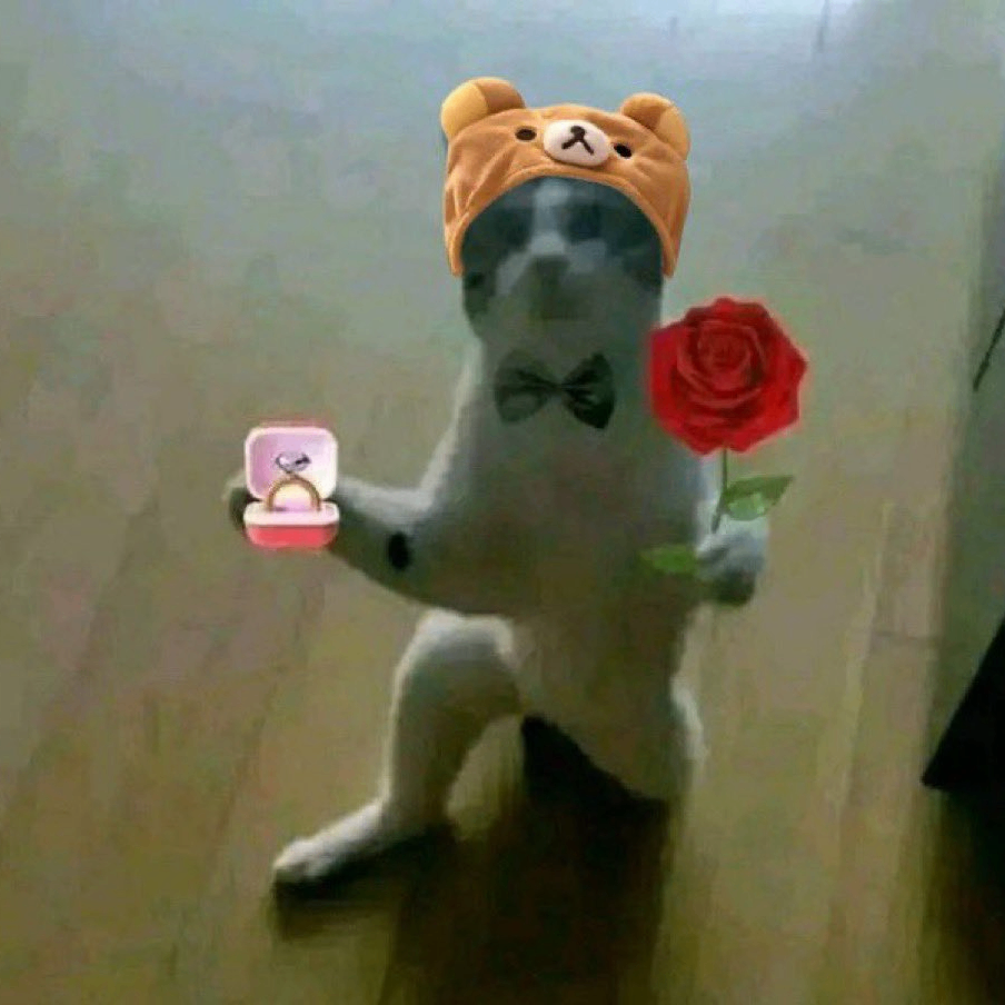 Akteja (lensecosystem.lens) Lens social identity (.lens handle) PFP