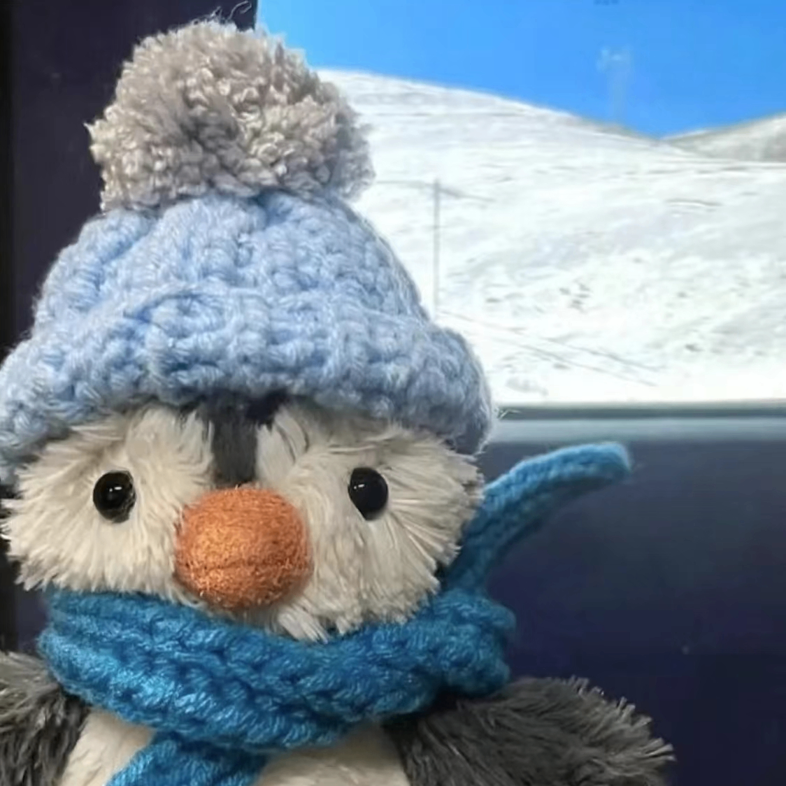 doge (qinggan88.lens) Lens social identity (.lens handle) PFP