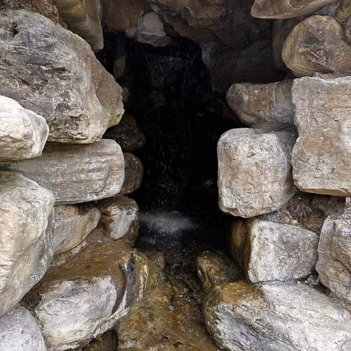 LINGZI (sxzyc.lens) Lens social identity (.lens handle) PFP