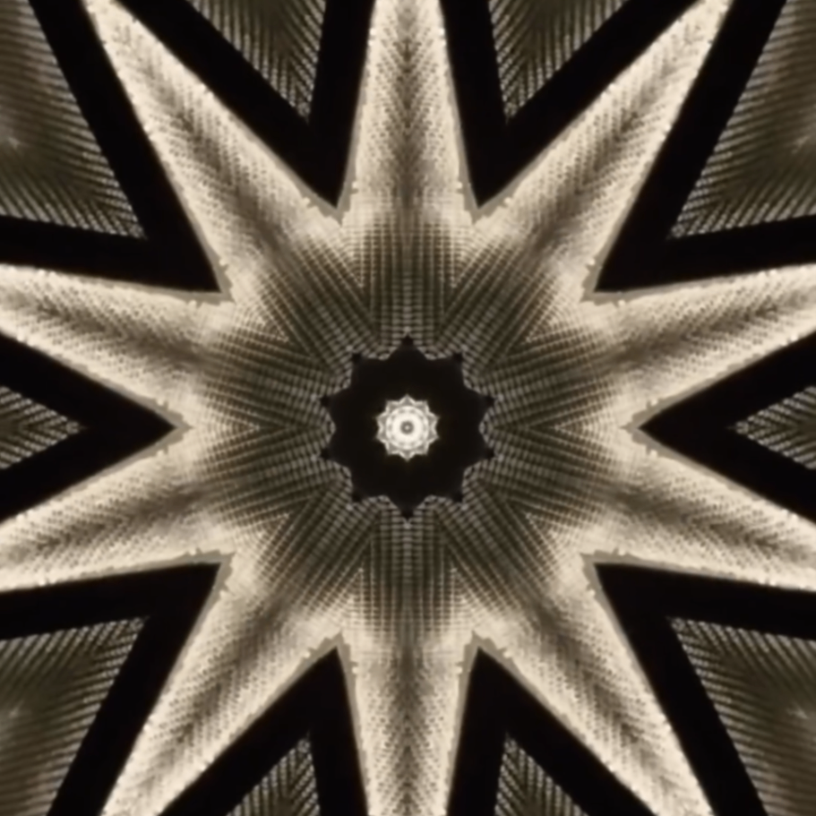 Lens Star (lenstar8.lens) Lens social identity (.lens handle) PFP