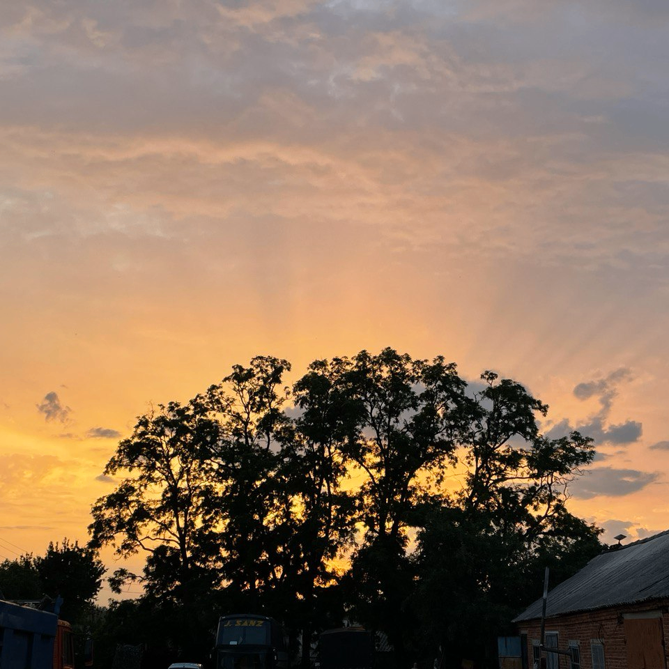 Vitalii (vetal777.lens) Lens social identity (.lens handle) PFP