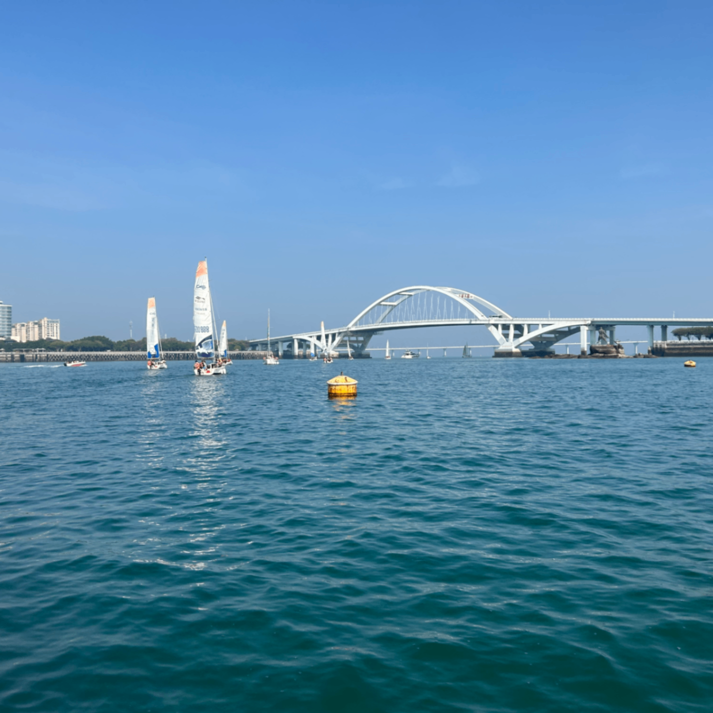 Z1 (zksync01.lens) Lens social identity (.lens handle) PFP