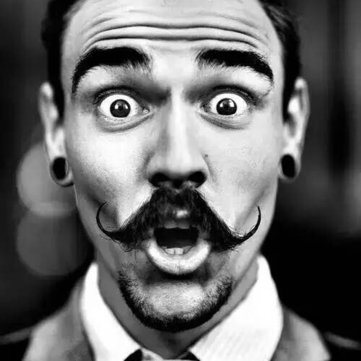 ProsePioneer (merrymyrtle.lens) Lens social identity (.lens handle) PFP