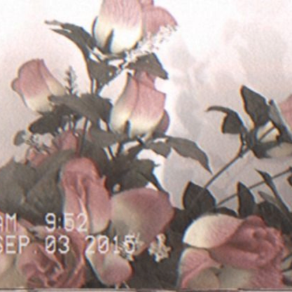 Sem (sdfgede.lens) Lens social identity (.lens handle) PFP