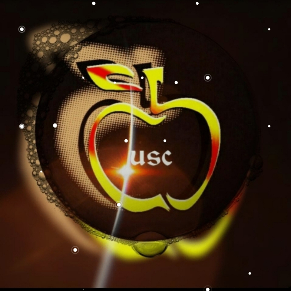 usc1988 (usc1988.lens) Lens social identity (.lens handle) PFP