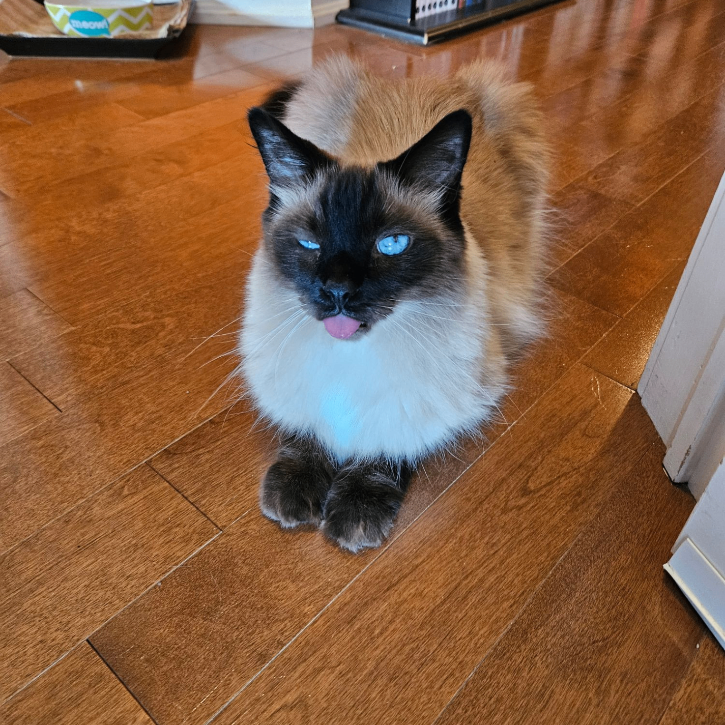 John doe (bubyuk.lens) Lens social identity (.lens handle) PFP