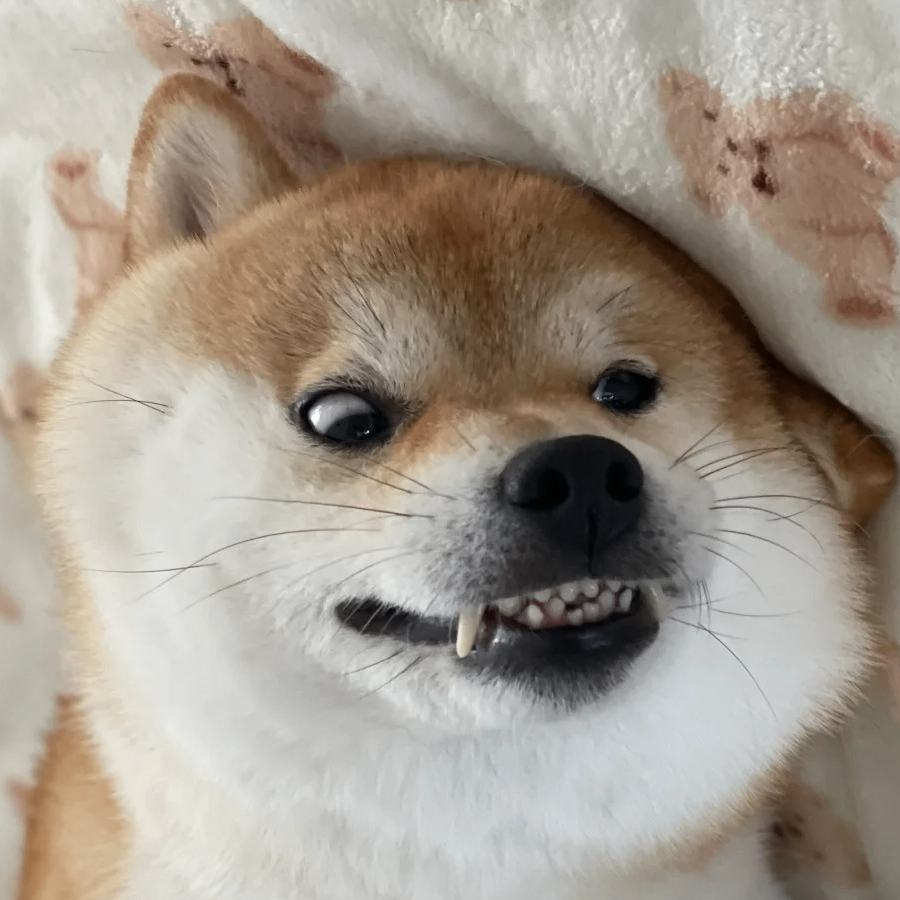 zigu (zigutafa.lens) Lens social identity (.lens handle) PFP