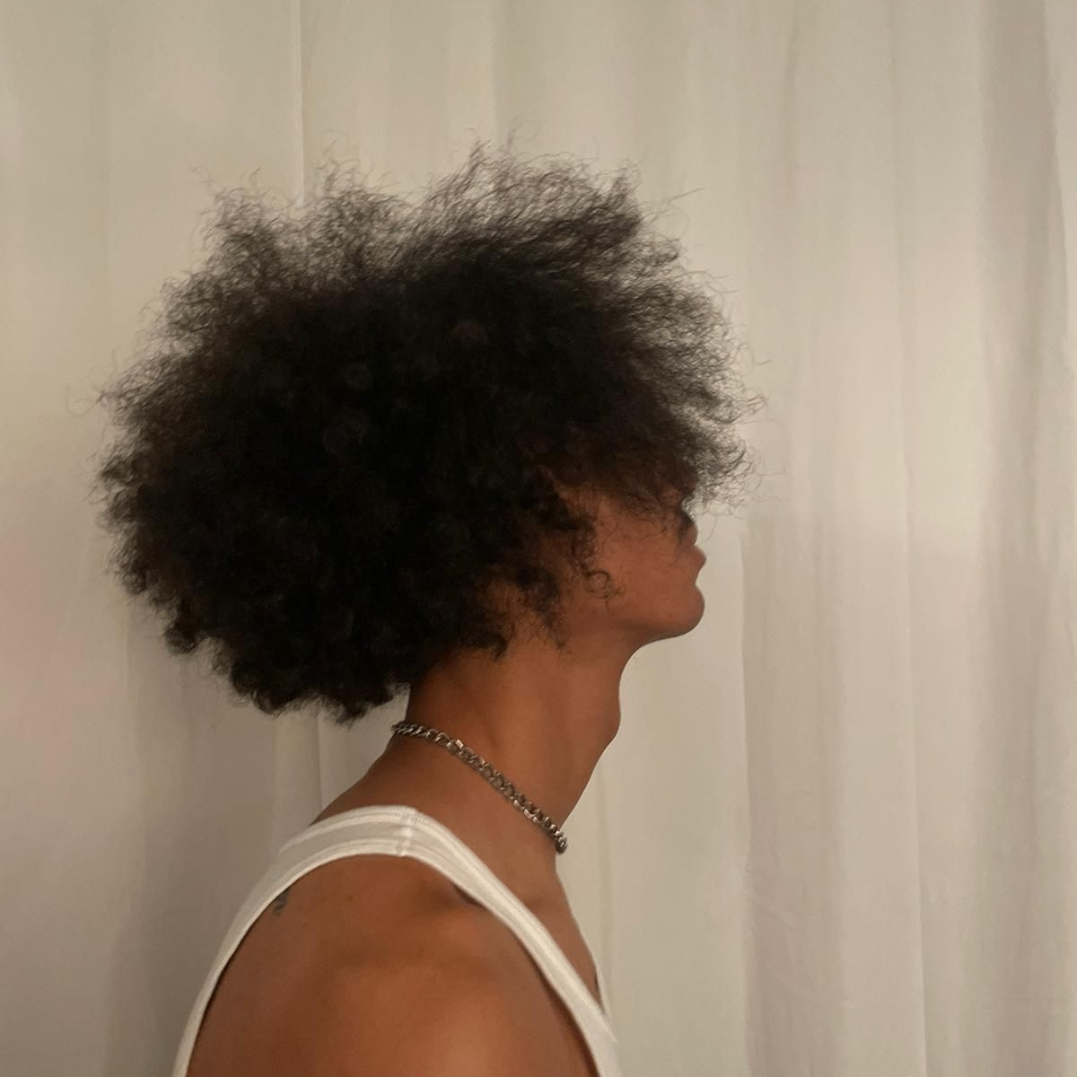 zephyra (zephyra764.lens) Lens social identity (.lens handle) PFP