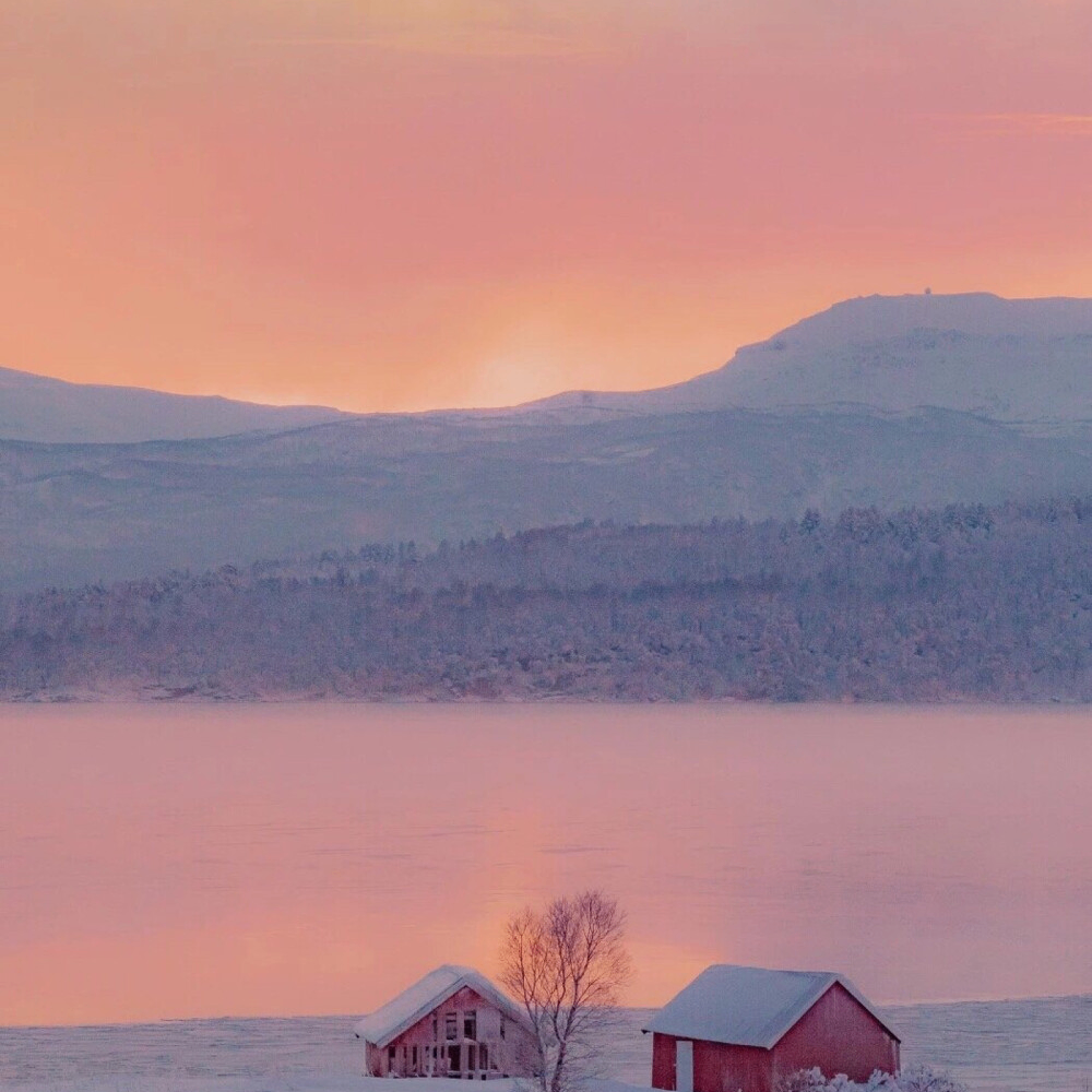 dfsg (cylox.lens) Lens social identity (.lens handle) PFP