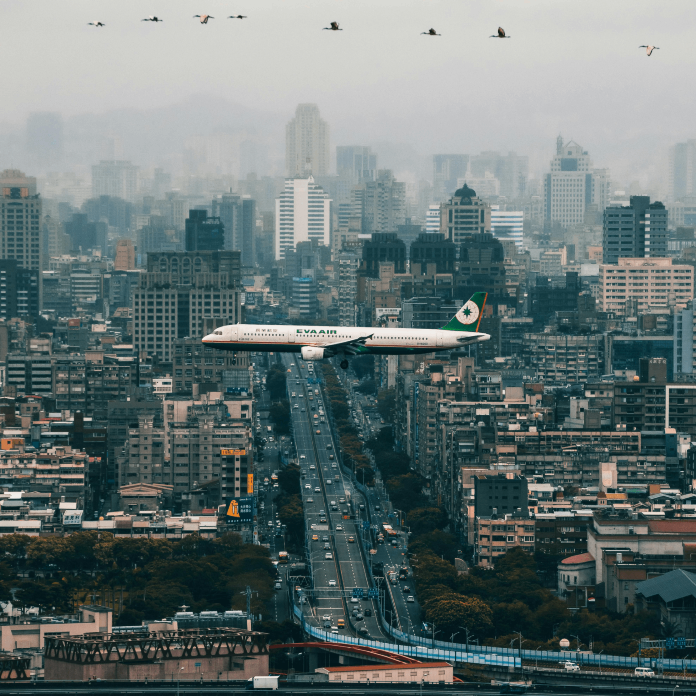 LeBre (lebre.lens) Lens social identity (.lens handle) PFP