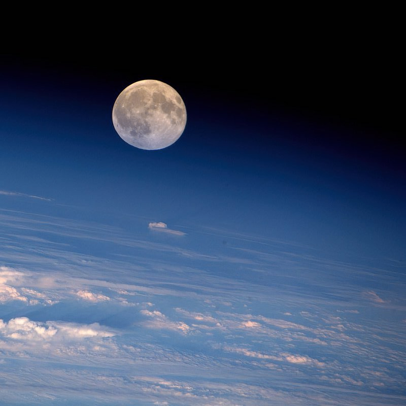 nvhfc (75878.lens) Lens social identity (.lens handle) PFP