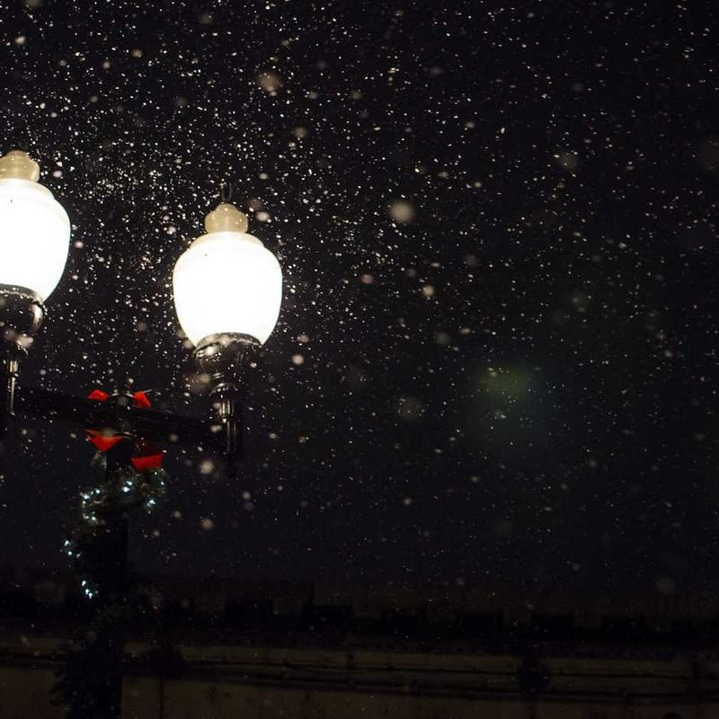 sculptureSavant (depaoliluc73199.lens) Lens social identity (.lens handle) PFP