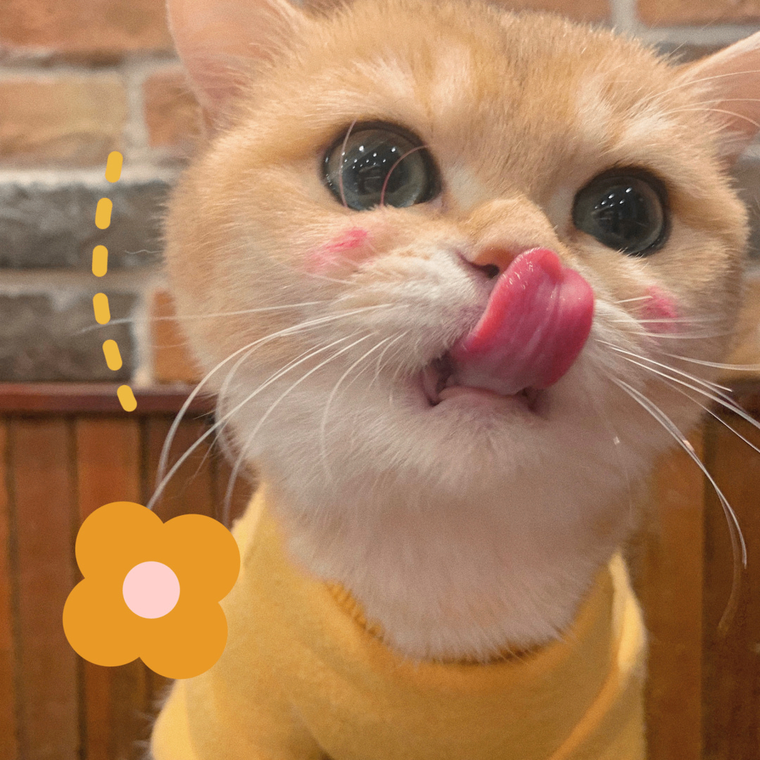 Borg Webster (fffffk.lens) Lens social identity (.lens handle) PFP