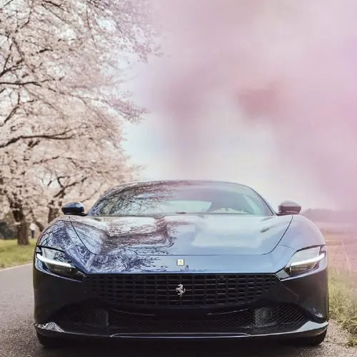 Emily Bill (eeeeem.lens) Lens social identity (.lens handle) PFP