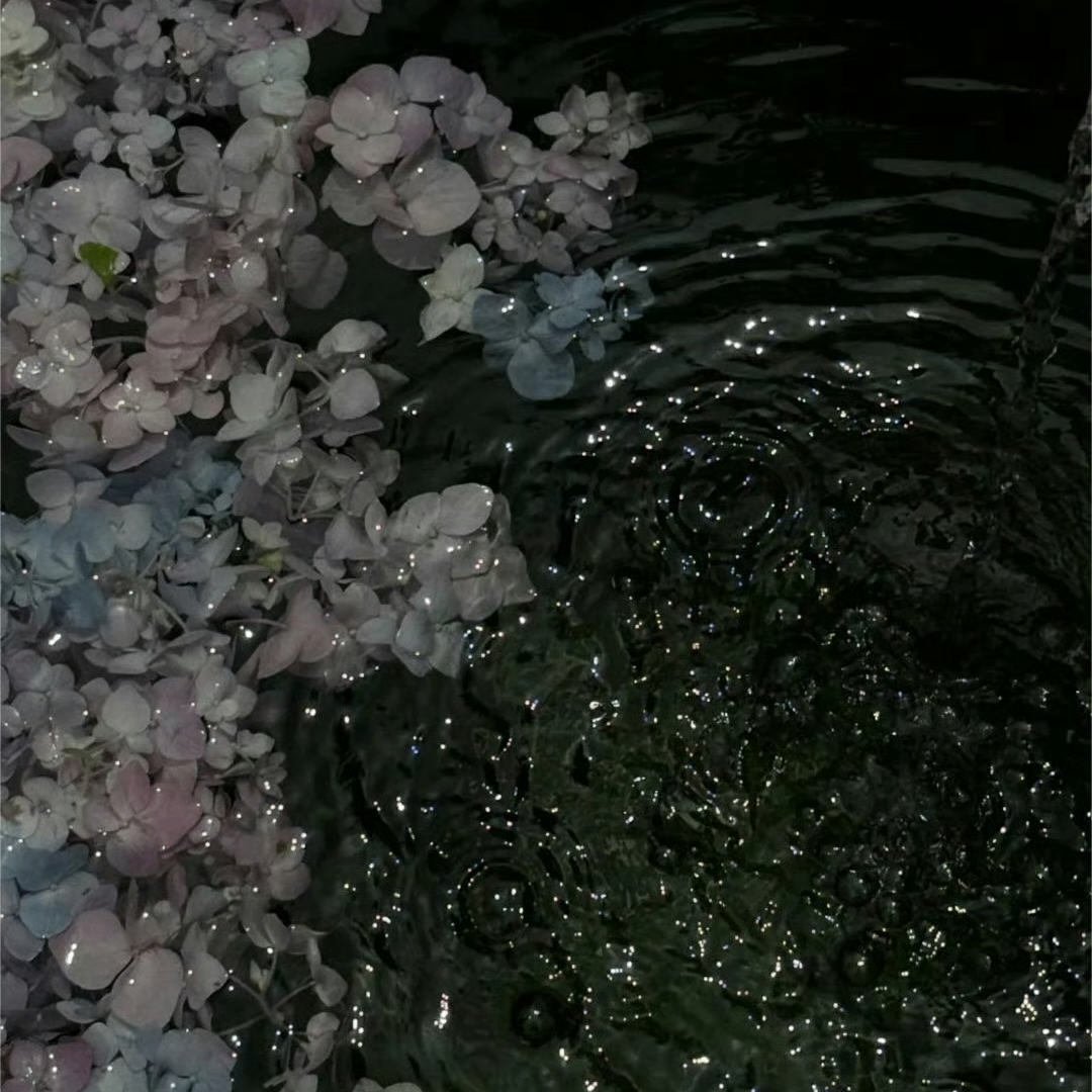 Sophia Price (innoin.lens) Lens social identity (.lens handle) PFP