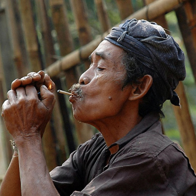 supernate (rtyj6.lens) Lens social identity (.lens handle) PFP