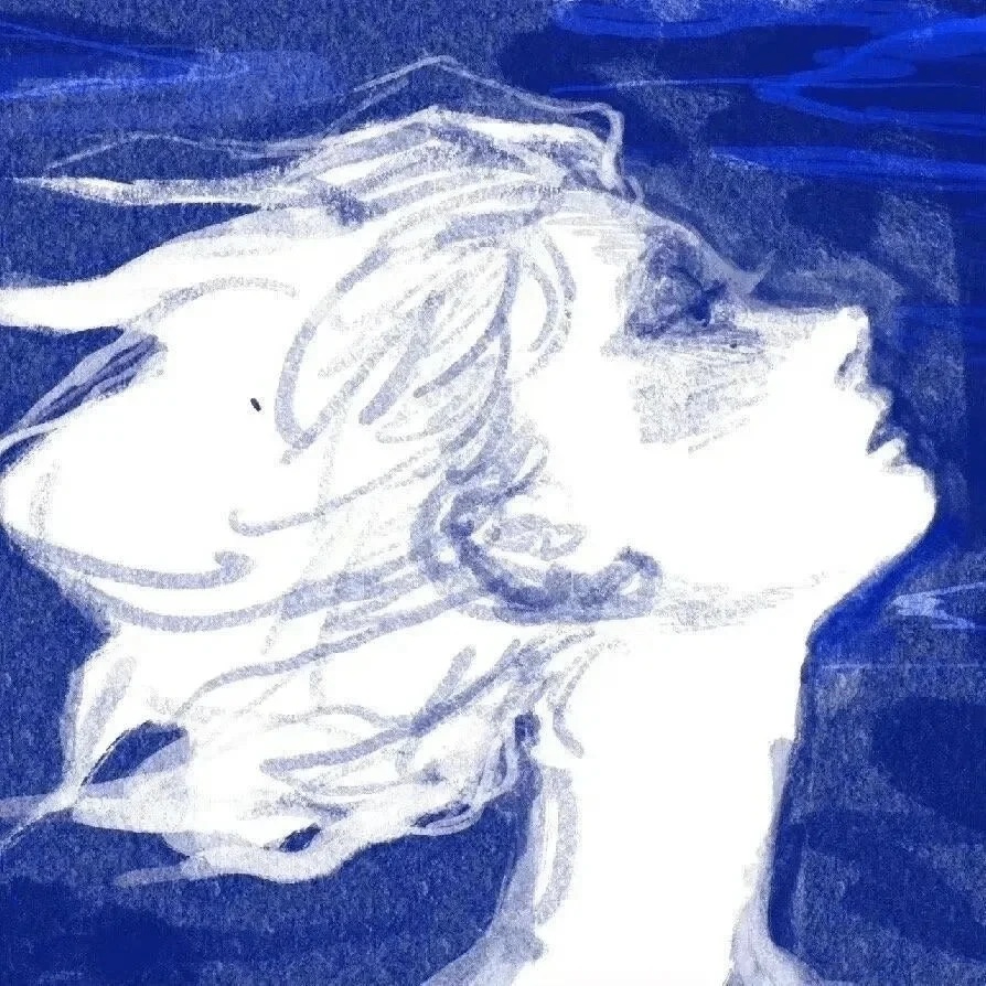 HAWDA (clarencess.lens) Lens social identity (.lens handle) PFP