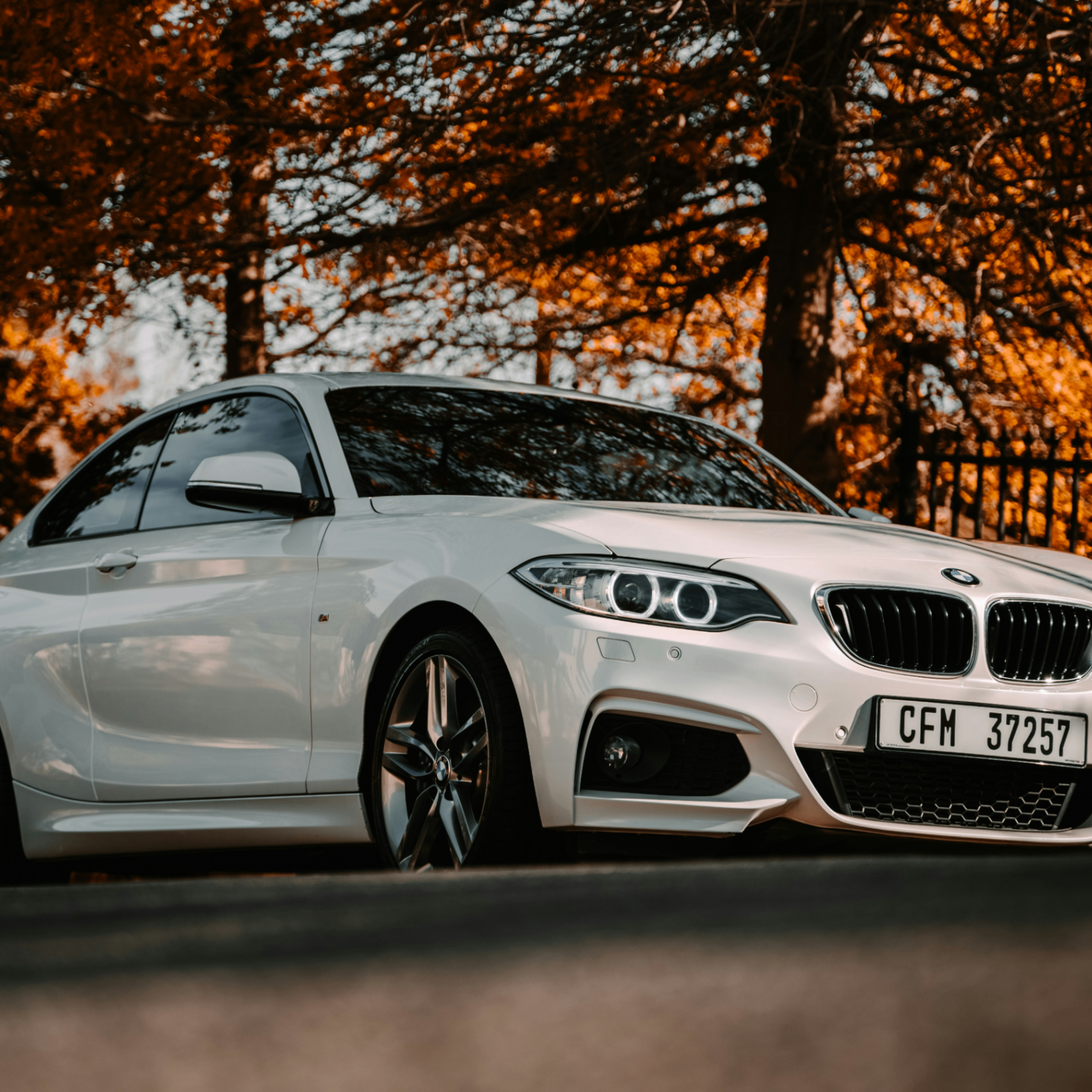 e1dwardo (jsdjsiiddij.lens) Lens social identity (.lens handle) PFP