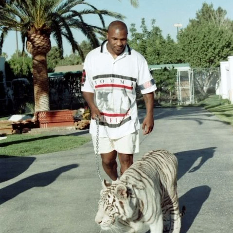 kerh (fuel46.lens) Lens social identity (.lens handle) PFP