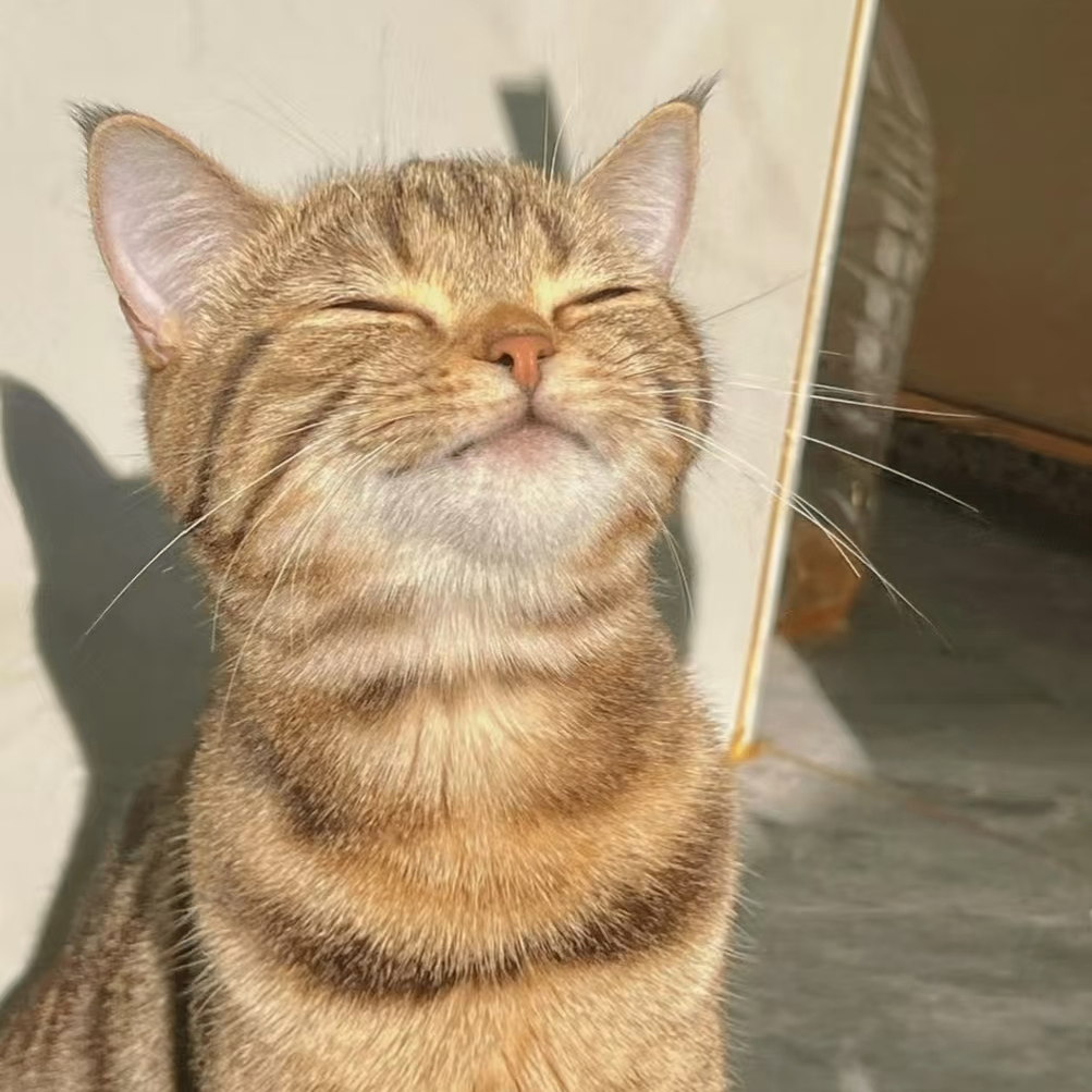 Naruto (kwowhudndo.lens) Lens social identity (.lens handle) PFP