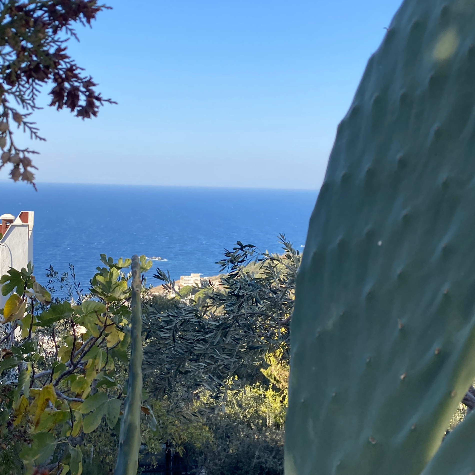 dylencyy (sabriye72duru.lens) Lens social identity (.lens handle) PFP