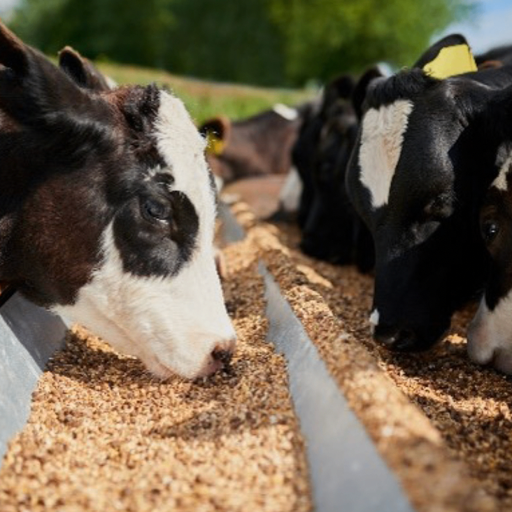 nbnbbnb (jttttt.lens) Lens social identity (.lens handle) PFP