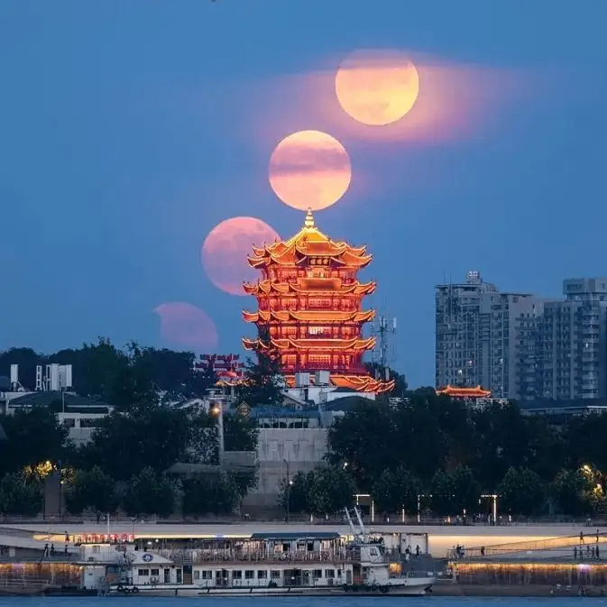 ratod (ratod.lens) Lens social identity (.lens handle) PFP