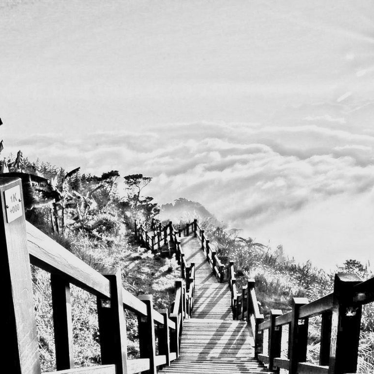 dfdfd (trixx.lens) Lens social identity (.lens handle) PFP