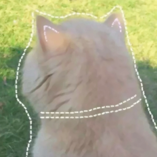 Yara (ruu01.lens) Lens social identity (.lens handle) PFP