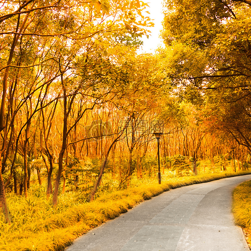 a256884 (a256884.lens) Lens social identity (.lens handle) PFP