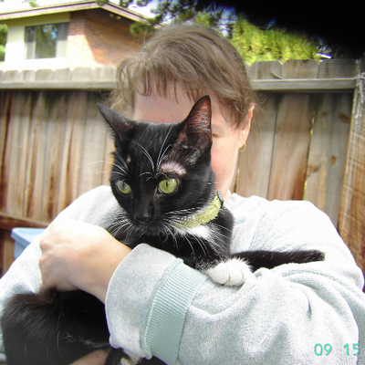 1966wickedone1 (1966wickedone1.lens) Lens social identity (.lens handle) PFP