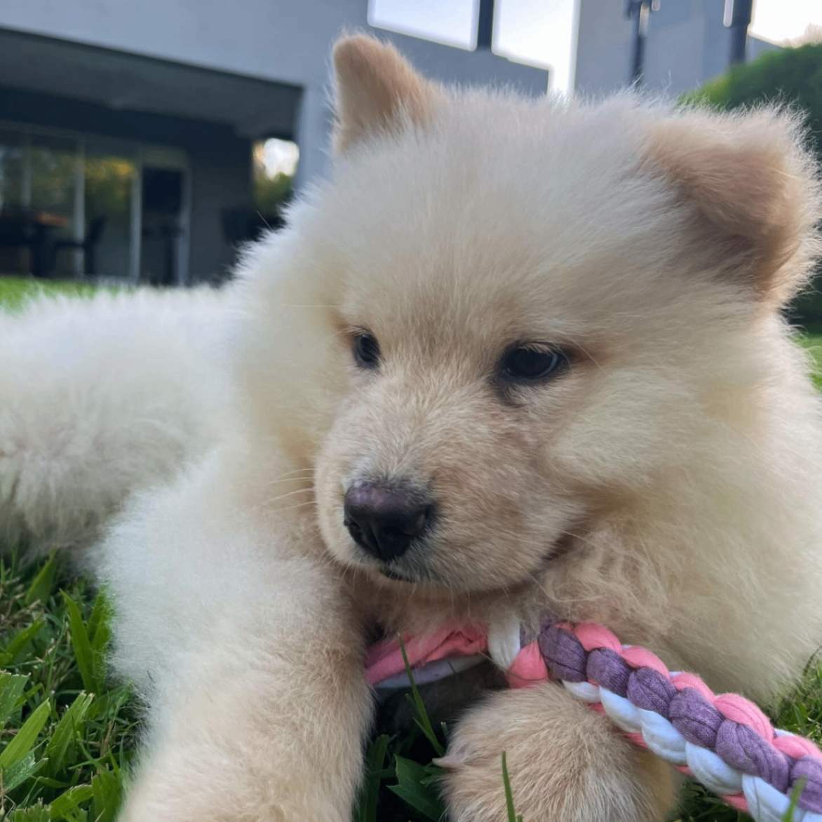 Kala (kalaa.lens) Lens social identity (.lens handle) PFP