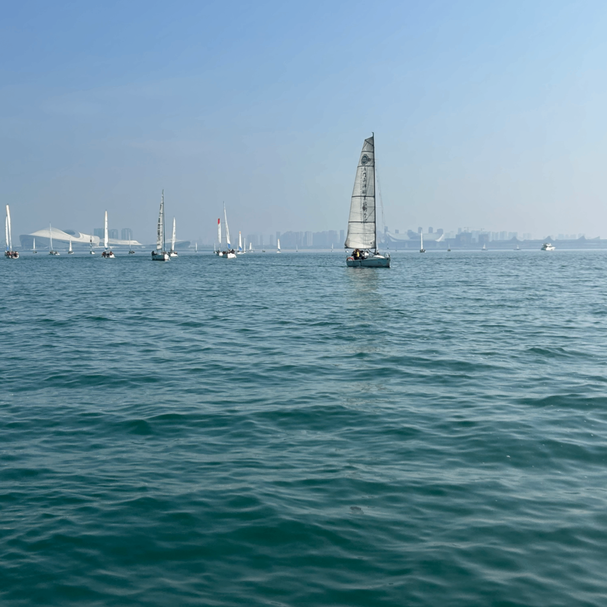 m19 (matic19.lens) Lens social identity (.lens handle) PFP