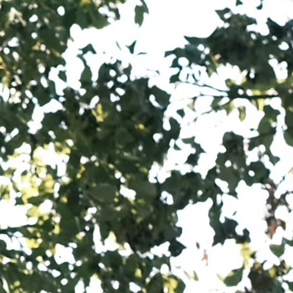 good (gooduck.lens) Lens social identity (.lens handle) PFP