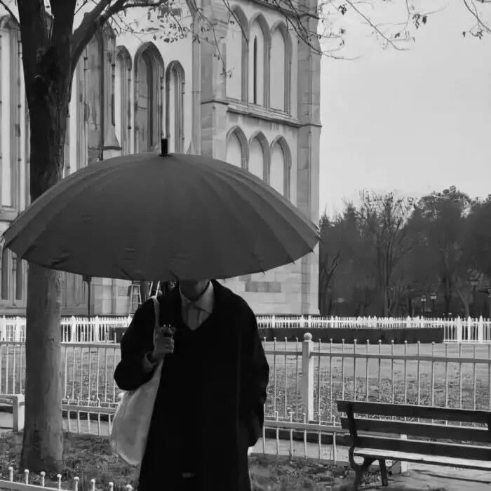 mysticmoo (mysticmoo.lens) Lens social identity (.lens handle) PFP