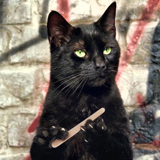 Sunodina (sunodina.lens) Lens social identity (.lens handle) PFP