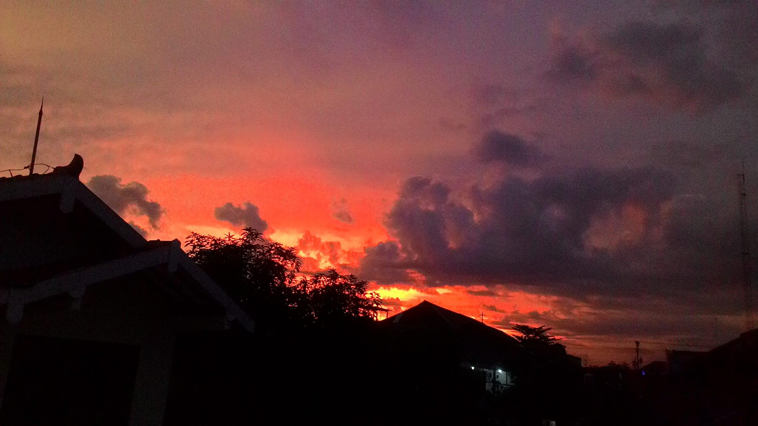 arcus (arcus.lens) Lens social identity (.lens handle) PFP