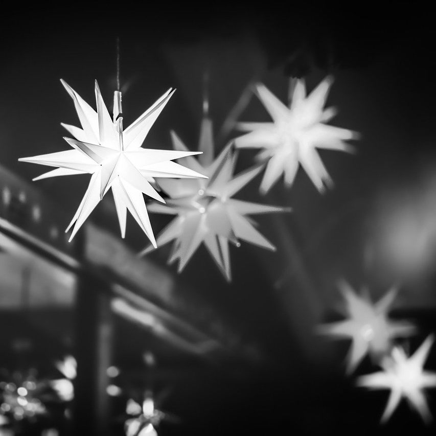 torich (torich.lens) Lens social identity (.lens handle) PFP