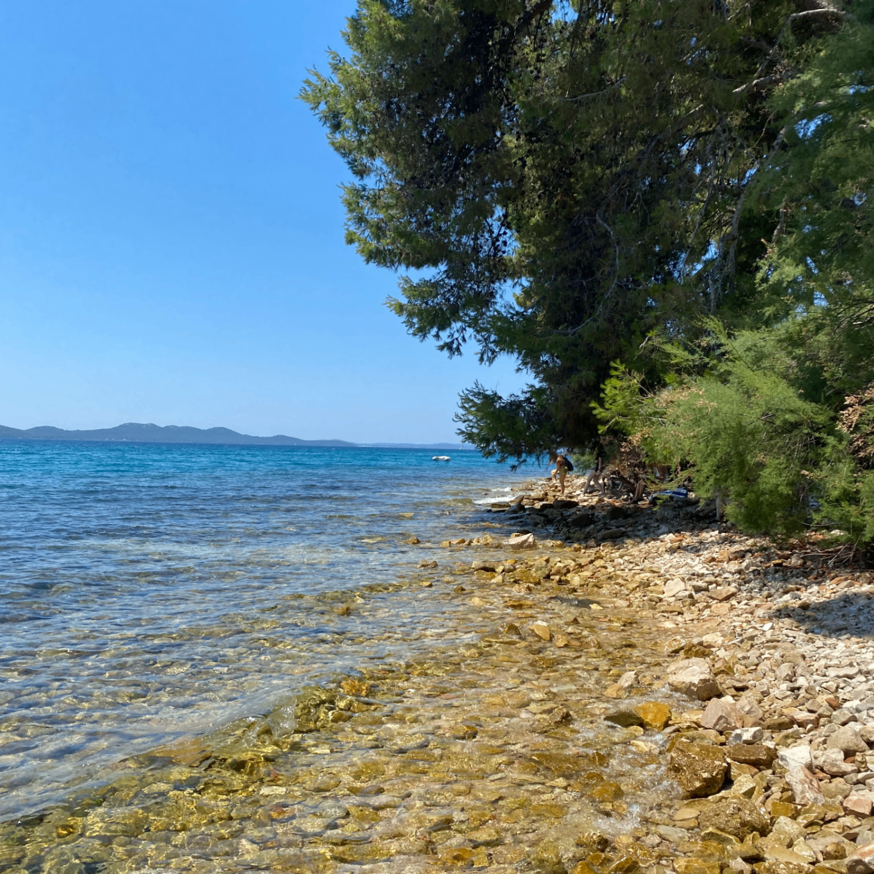 curlyold (curlyold.lens) Lens social identity (.lens handle) PFP