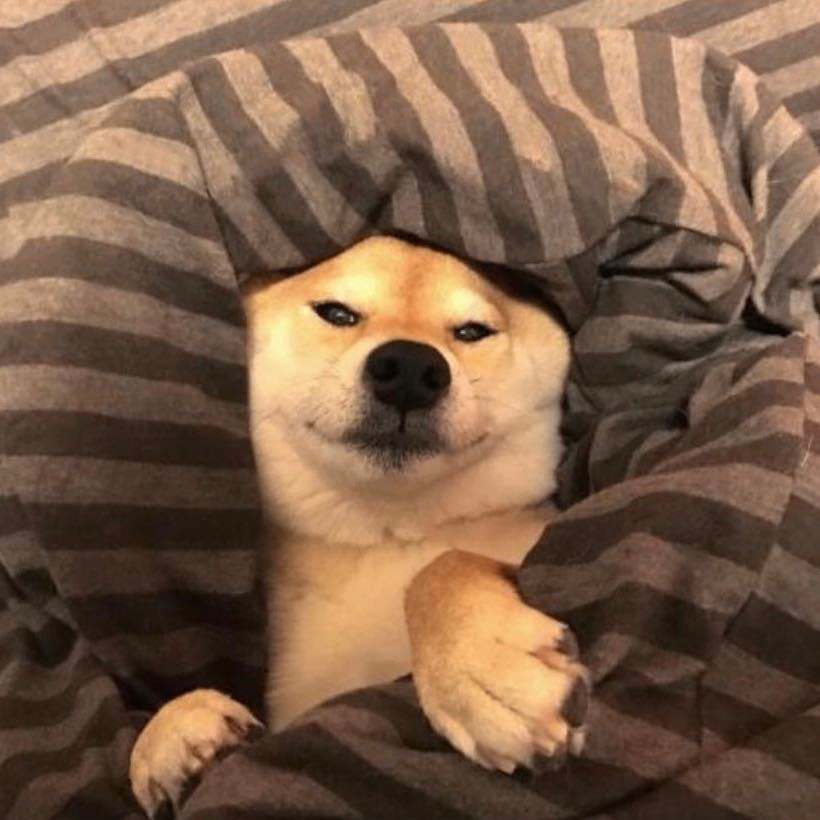 Eyudeyanlei (guazhong.lens) Lens social identity (.lens handle) PFP