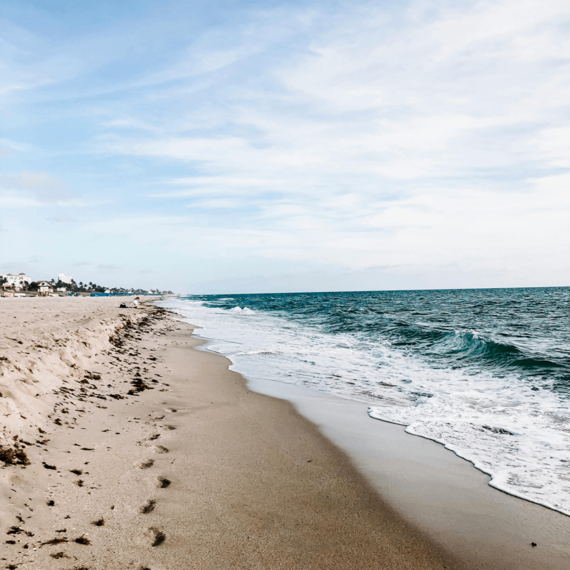 ivort (ivort.lens) Lens social identity (.lens handle) PFP