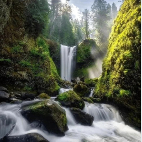 joni (jonyik.lens) Lens social identity (.lens handle) PFP