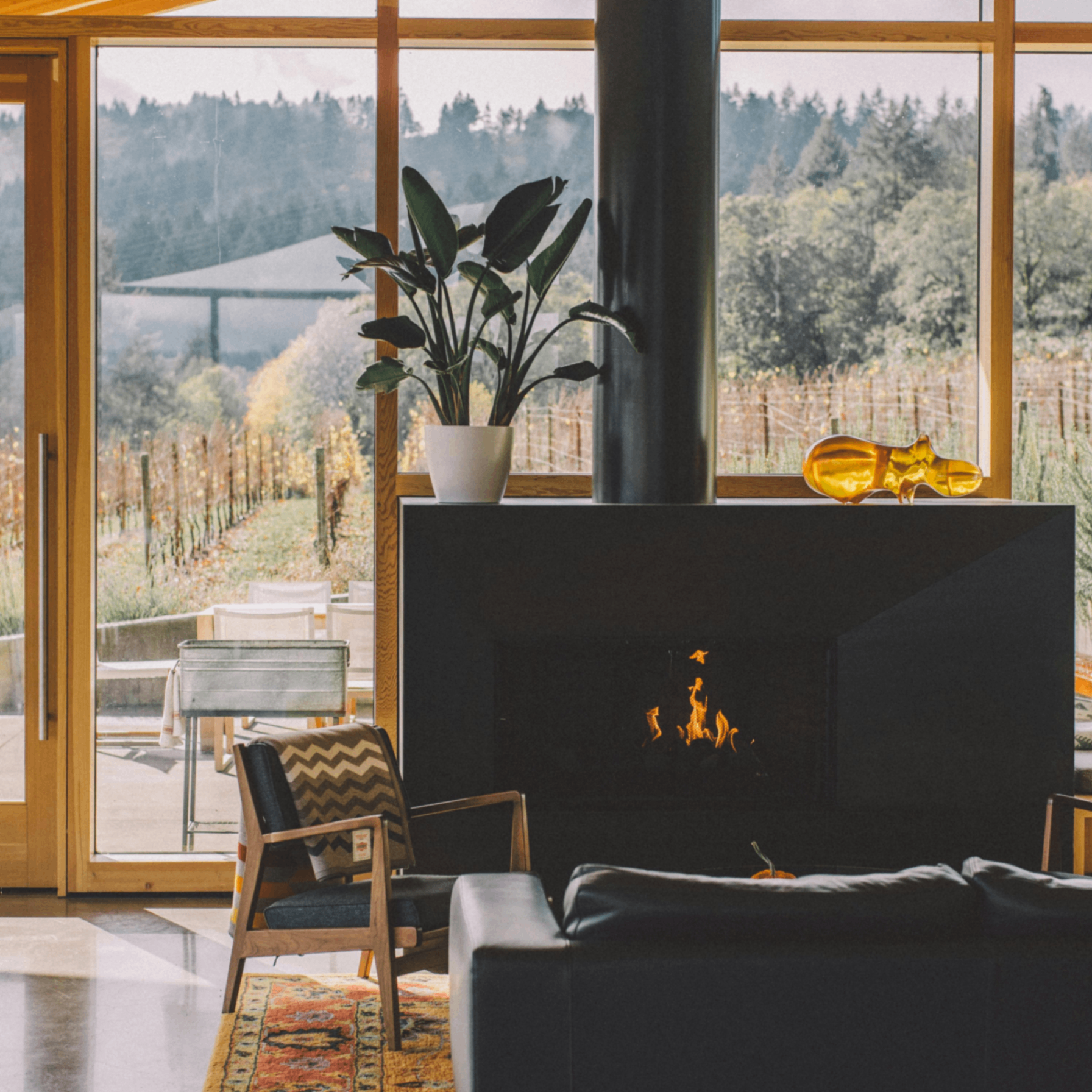 stemo (stemo.lens) Lens social identity (.lens handle) PFP